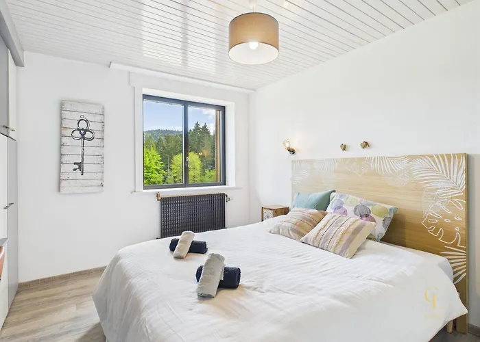 Les Plombes - Isole, Jacuzzi, Piscine Xonrupt-Longemer